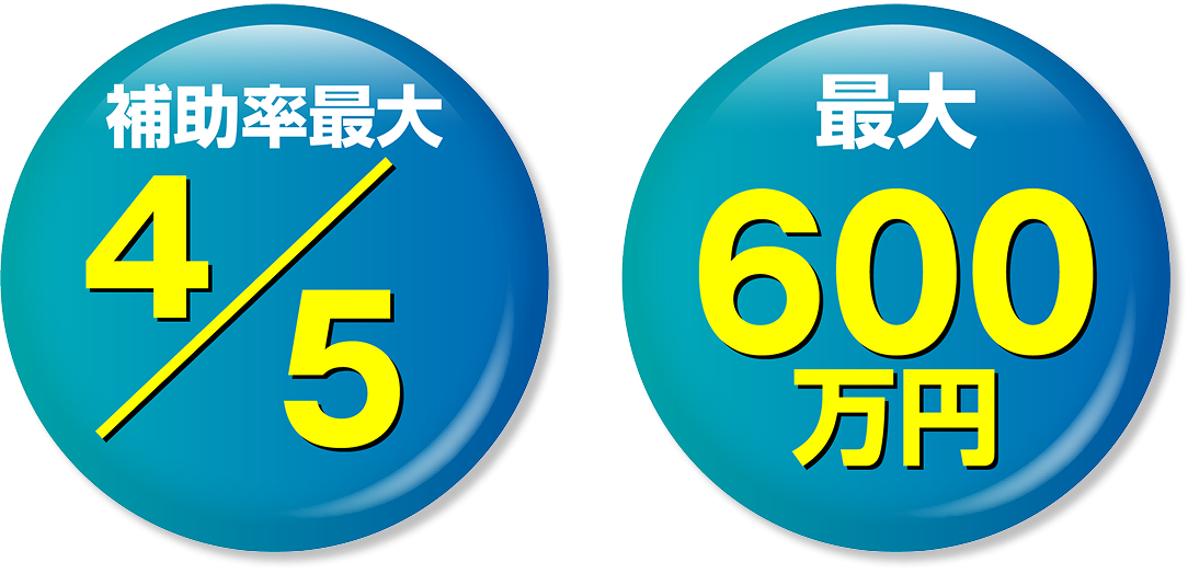 補助率最大4/5 最大600万円