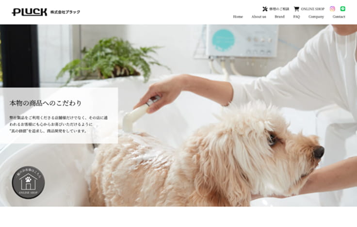 PLUCK様