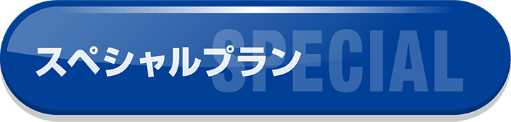 スペシャルプラン