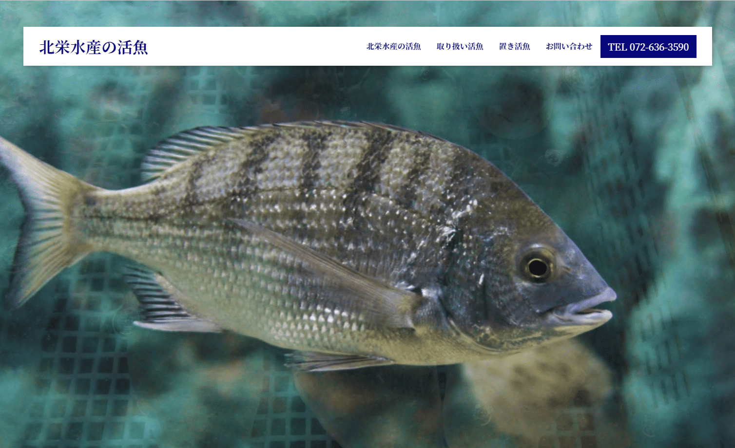 株式会社 北栄水産 様 活魚サービスサイト