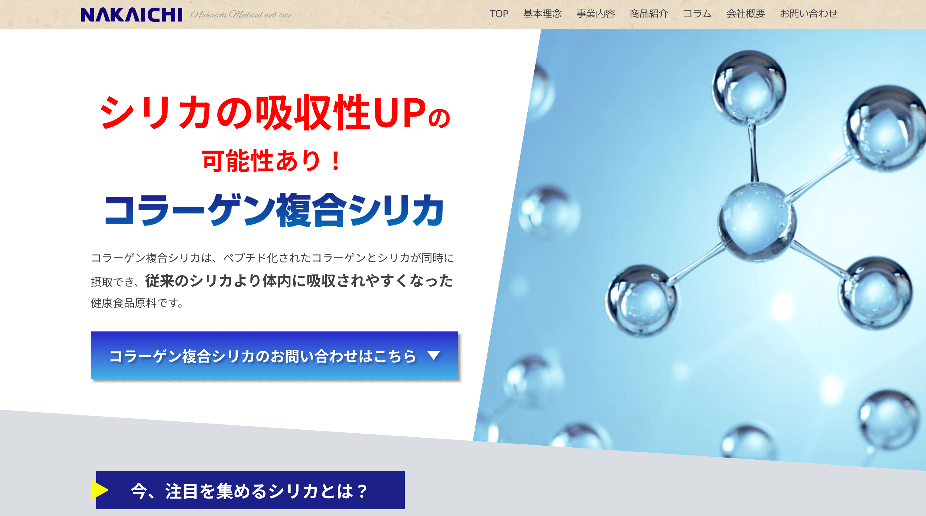 中一メディカル 様 コラーゲン複合シリカLP作成