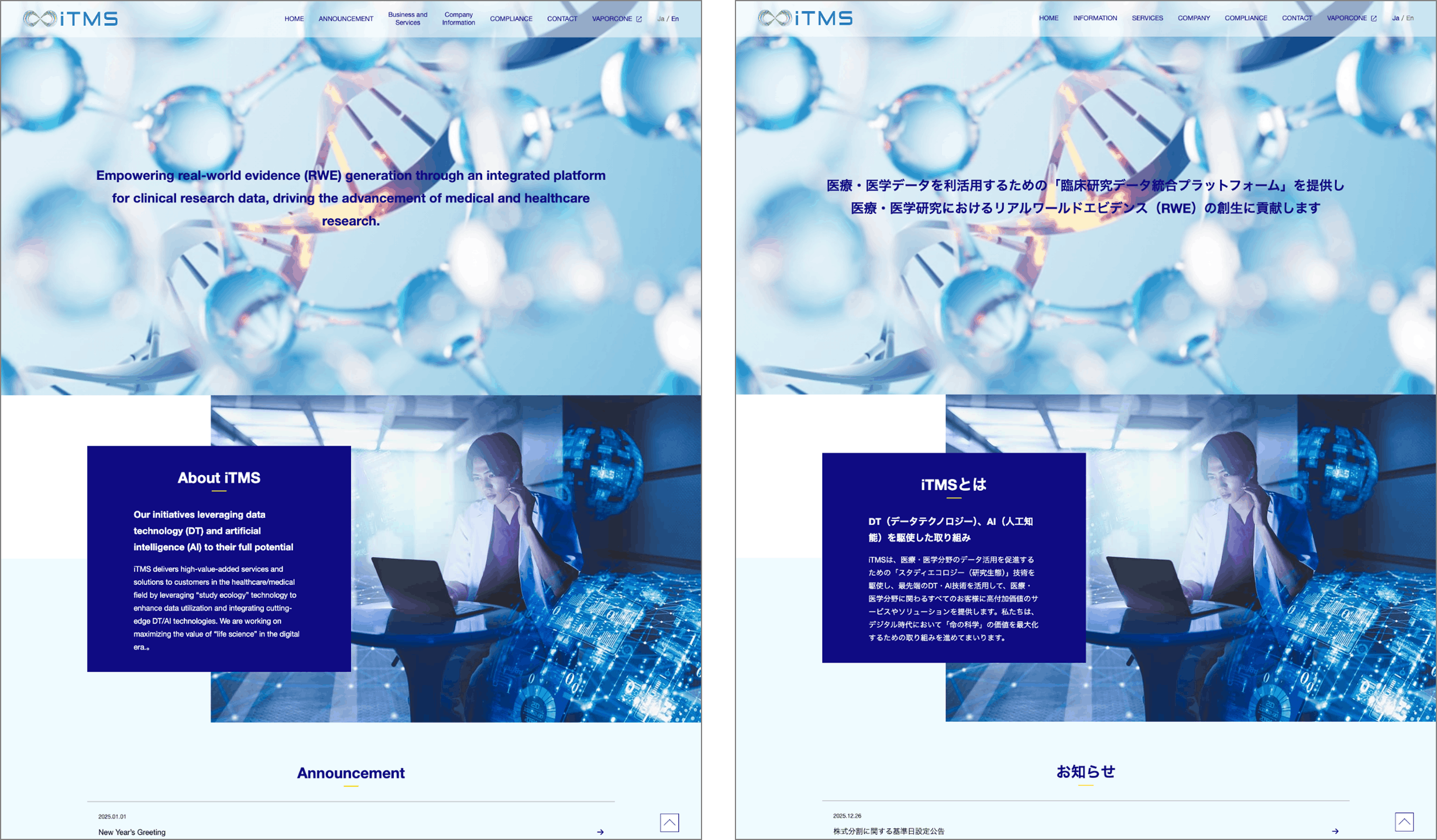 英語版日本語版比較